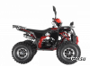 Квадроцикл WELS Thunder EVO X