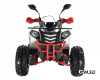 Квадроцикл WELS Thunder EVO X