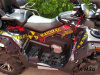 Наклейки на квадроцикл (комплект наклеек) для ATV STELS GUEPARD
