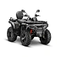 Квадроцикл AODES Pathcross ATV300L 2026