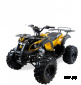 Квадроцикл бензиновый MOTAX ATV GRIZLIK SUPER LUX  125 сс NEW (AB)