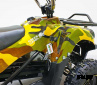 Квадроцикл GreenCamel Гоби K40 (36V 800W R6 Цепь) быстросъем