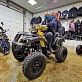 Квадроцикл PROMAX ATV 300