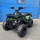 Квадроцикл RAPTOR max 125